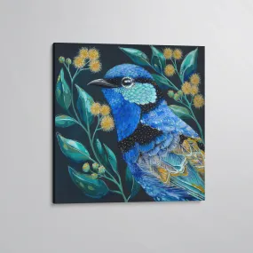 'Clancy' The Splendid Fairy Wren canvas print