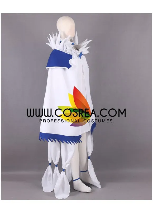 Fairy Tail Yukino Agria Cosplay Costume